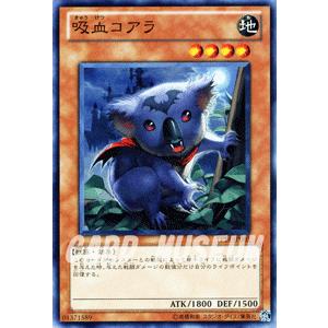 遊戯王カード 吸血コアラ / トーナメントパック / シングルカード｜trade-lab-japan