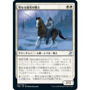 Magic: The Gathering MTG マジック:ザ・ギャザリング 裂け目 Magic: The Gathering MTG マジック:ザ・ギャザリング 裂け目