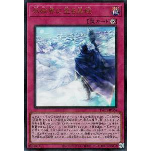 遊戯王オフィシャルカードゲーム デュエルモンスターズ 遊戯王カード