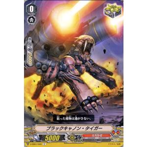 デュエル・マスターズ 星門の精霊アケルナル／スターゲイズ・ゲート(金