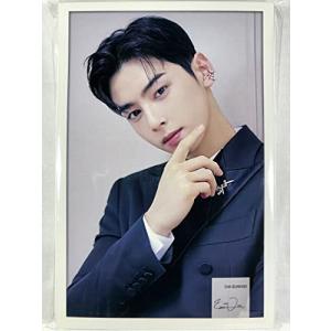 Cha Eun Woo チャ ウヌ - ASTRO アストロ グッズ ／ ポストカードサイズ フォトスタンド 15枚セット