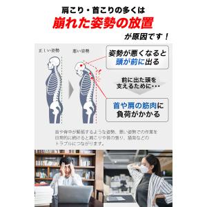 姿勢サポーター 猫背ベルト 姿勢 補正 背中 ...の詳細画像3