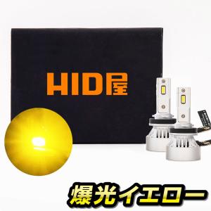 HID屋 H4 H11 LED フォグ イエロー Mシリーズ 10400lm 車検対応 フォグランプ...