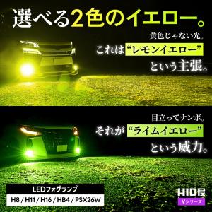HID屋 H8 H11 H16 LED Vシリ...の詳細画像1