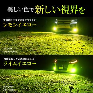 HID屋 H8 H11 H16 LED Vシリ...の詳細画像5