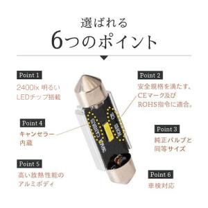 HID屋 T10 バルブ LED 31/32m...の詳細画像2
