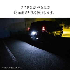 HID屋 T10 バルブ LED 31/32m...の詳細画像3