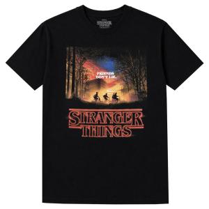 STRANGER THINGS・ストレンジャー・シングス・未知の世界・RISE OF