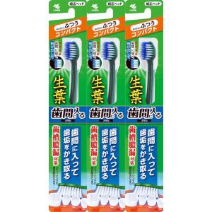 生葉 歯間に入るブラシ 歯ブラシ コンパクトヘッド ふつう×3個 歯槽膿漏対策
