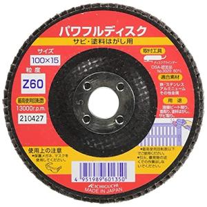 イチグチ BSパワフルディスクZ3枚組#60