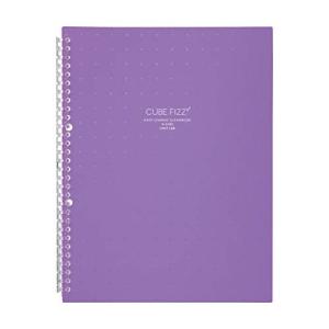 リヒトラブ クリヤーブック 交換式 A4 30穴 10枚ポケット CUBE FIZZ パープル 不透明 N6482-10