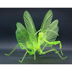 フジミ模型 自由研究シリーズNo.23 EX-2 いきもの編 オオカマキリ  自由研究-23 EX-2