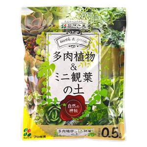 多肉植物 土のランキングtop100 人気売れ筋ランキング Yahoo ショッピング