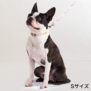 ペティオ  首輪 Ethical Door エシカルドア アニマルカラー ピンク 犬 S サイズ