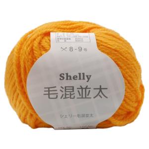 元廣 スキー 手編み毛糸 シェリー毛混並太 Col.509