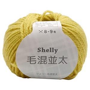 元廣 スキー 手編み毛糸 シェリー毛混並太 Col.508