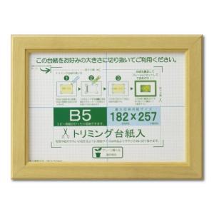 大仙 額縁 OA額 OAカノエ B5 ナチュラル シュリンクパック J635D6000