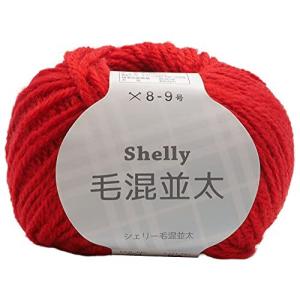 元廣 スキー 手編み毛糸 シェリー毛混並太 Col.504