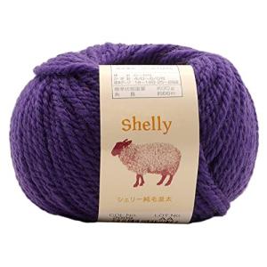 元廣 スキー 手編み毛糸 シェリー純毛並太 Col.2009