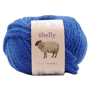 元廣 スキー 手編み毛糸 シェリー純毛極太 Col.3010