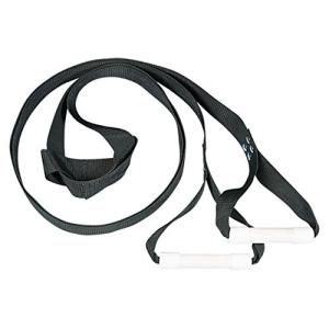 ダンノ 逆上がり補助器 逆上がりマスター D249