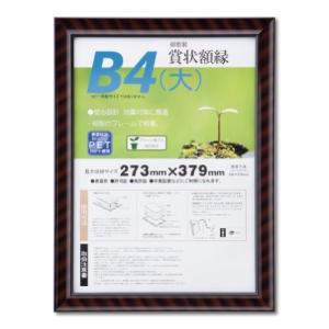 大仙 額縁 賞状額 金ラック R B4大 樹脂製 シュリンクパック J335B2900