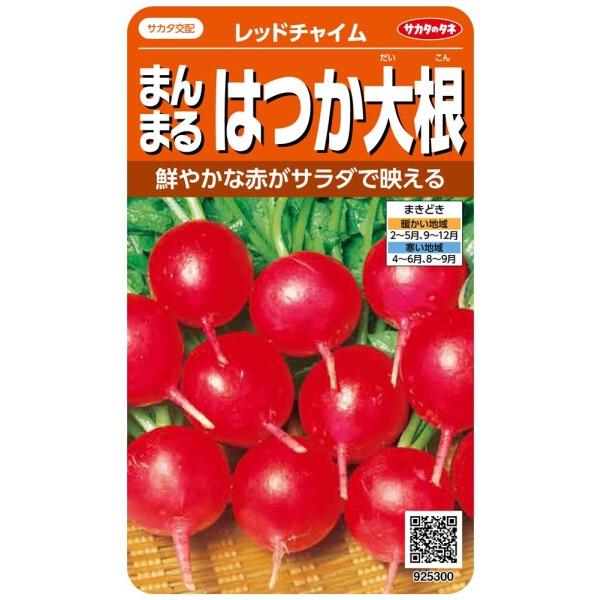 サカタのタネ 実咲野菜5300 まんまるはつか大根 レッドチャイム 00925300