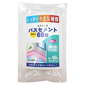 家庭化学工業セメント系バスセメント60分骨材入60g
