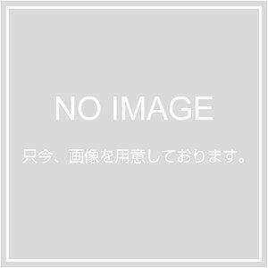 DNライティング エースライン スリム蛍光灯 FLR25T6R