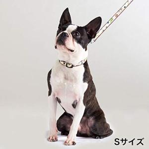 ペティオ  Ethical Door エシカルドア キャンプリード クリーム 犬 S サイズ
