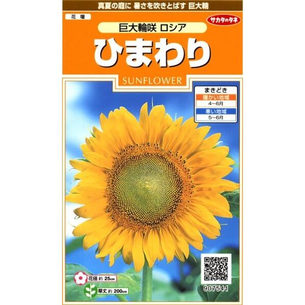 サカタのタネ 実咲花7541 ひまわり 巨大輪咲ロシア 00907541