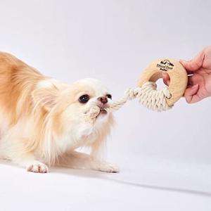 ペティオ 犬用おもちゃ Ethical Door エシカルドア 天然木とロープのデンタルリング S