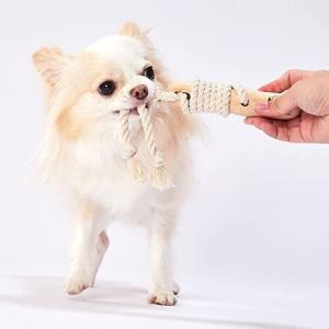ペティオ 犬用おもちゃ Ethical Door エシカルドア 天然木とロープのデンタルバー S
