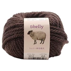 元廣 スキー 手編み毛糸 シェリー純毛極太 Col.3012
