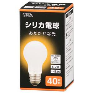 オーム電機 白熱球 白熱電球 フィラメント電球 エジソン電球 調光器対応 E26 40W形 シリカ LB-D5638WN 06-4734 OHM