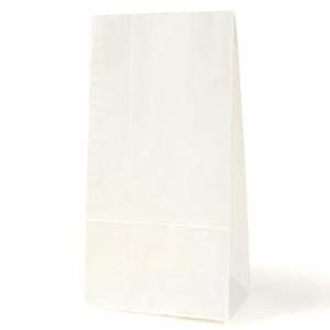 パックタケヤマ 紙袋 マチあり 角底袋 H12 晒 100枚 XZT00424