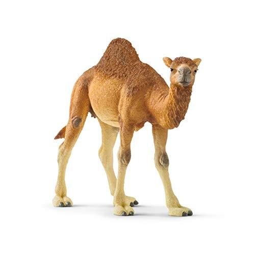 シュライヒ(Schleich) ワイルドライフ ヒトコブラクダ フィギュア 14832