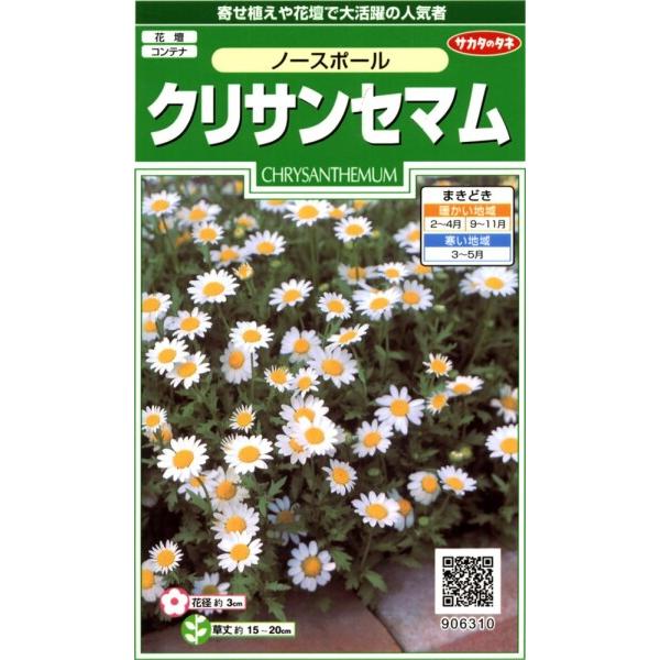 サカタのタネ 実咲花6310 クリサンセマムノースポール 00906310