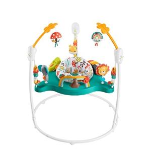 フィッシャープライス(fisher price) ゆかいなレインボーフォレストジャンパルー  HPH48｜trafstore