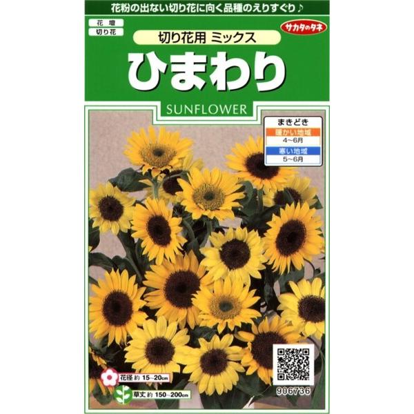 サカタのタネ 実咲花6736 ひまわり 切り花用ミックス 00906736