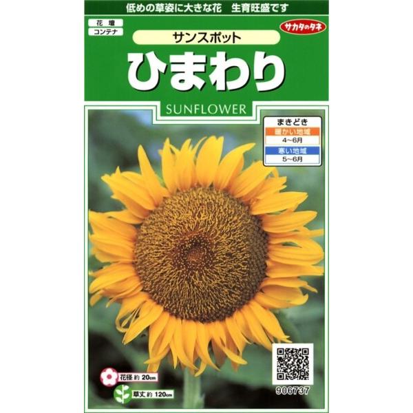 サカタのタネ 実咲花6737 ひまわり サンスポット 00906737