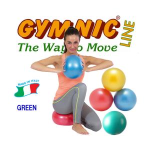 ミズノ・ウエイトジャケット 10kgセット（ウエイトベスト