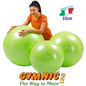 ギムニクボールPLUS65 （ブルー） 直径65cm 身長160cm〜174cm