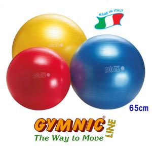 ギムニク　GYMNIC　バランスボール　85センチ レッド 楽天市場】【Wアクションポンププレゼント】ボディボール85