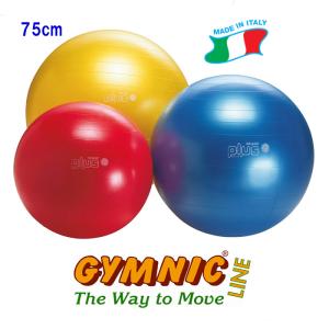 ギムニクボールPLUS65 （ブルー） 直径65cm 身長160cm〜174cm