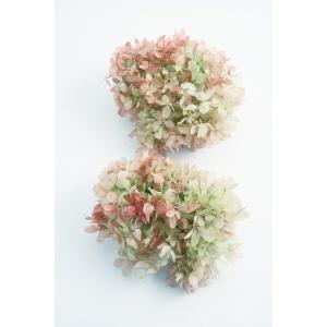 P5倍中 2/2 09:59迄 爆買】 プリザーブドフラワー 花材 とりよせ品