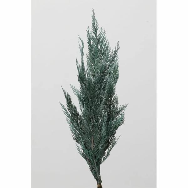 【プリザーブドフラワー】大地農園/シダ/1束/約80g/ウオッシュホワイト/03122-012