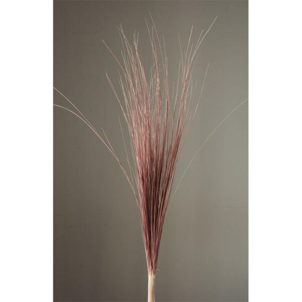 【ドライ】大地農園/レインボーグラス 約50g ピンクベージュ/03930-081