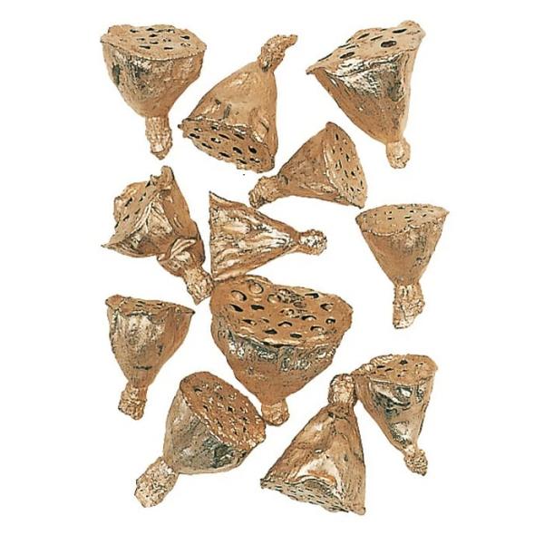 【ドライ】大地農園 ミニハスプラチナ 1袋 約15個 約2.5〜5cm 22411-930