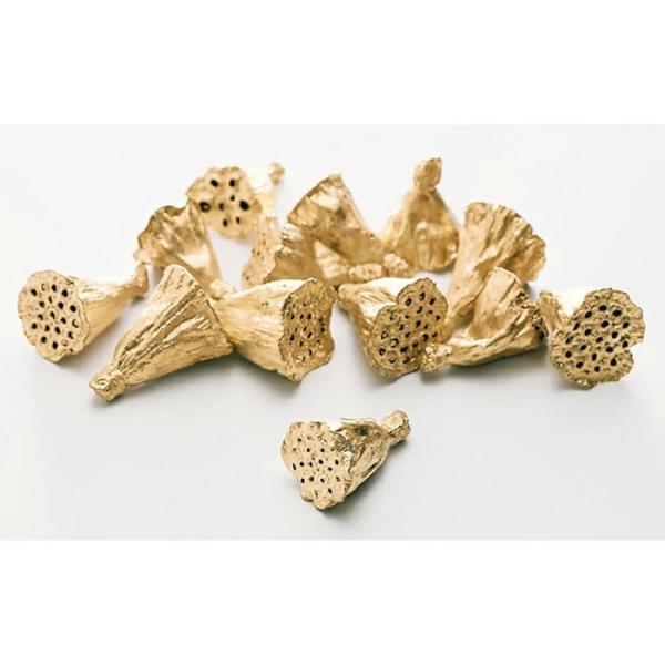 【ドライ】大地農園 ミニハス・ゴールド 1袋 約20個 約1〜2.5cm 22420-902